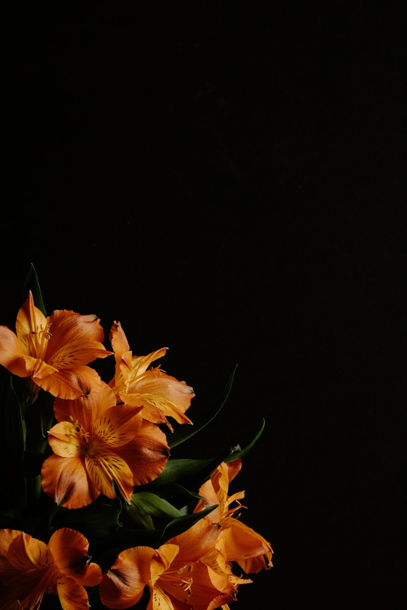 Die zauberhafte Welt von Lilliputiens: Pädagogisch wertvolles Spielzeug für kleine Entdecker